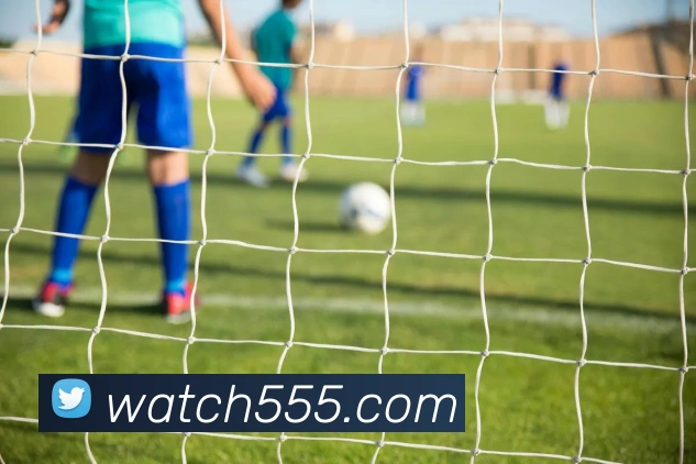 买球官方APP 封面图